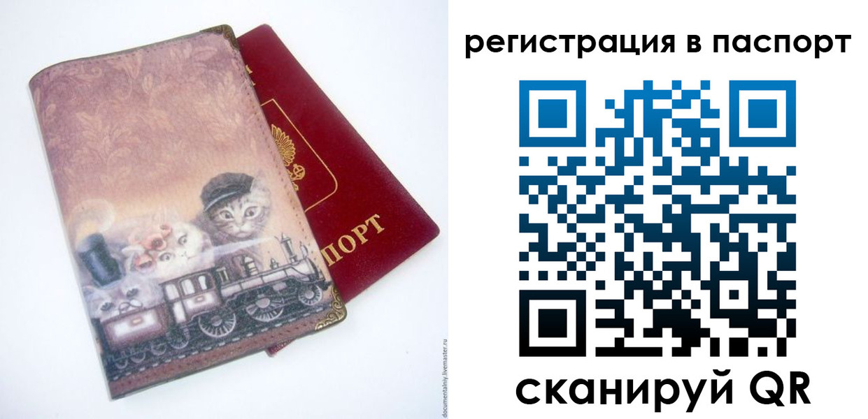 прописка 2025 в Жуковке