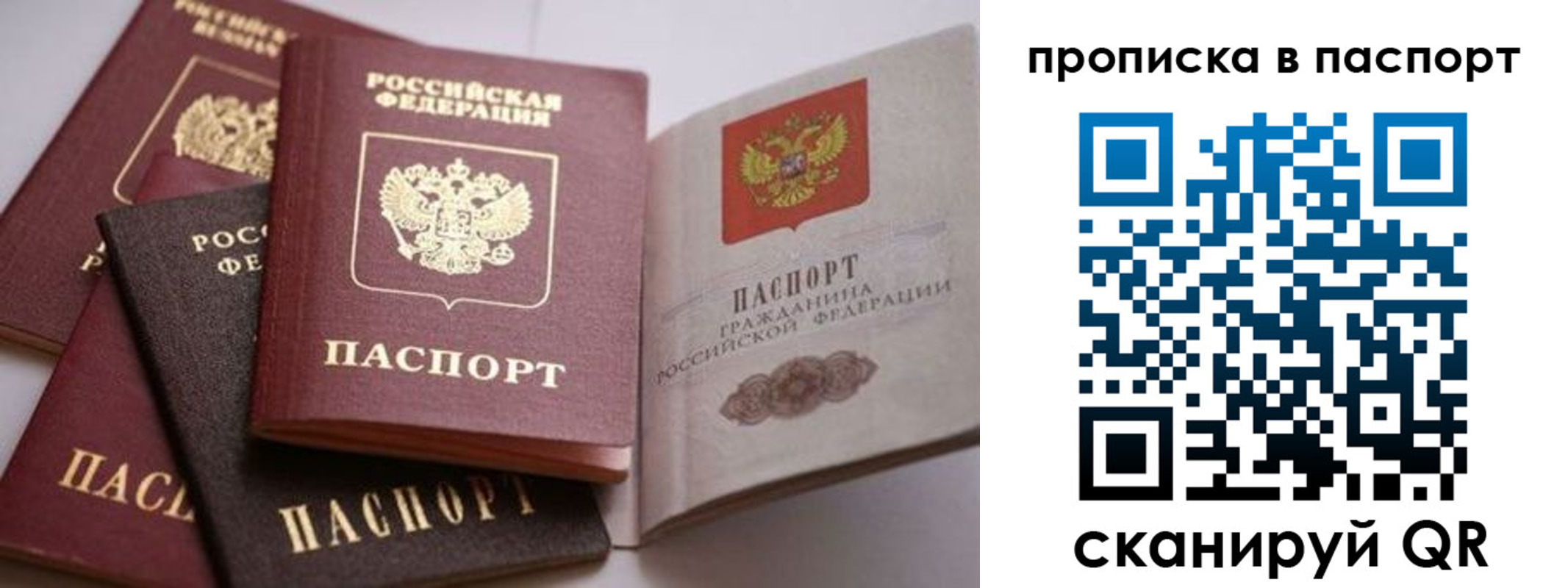 прописка поиск в Жуковке